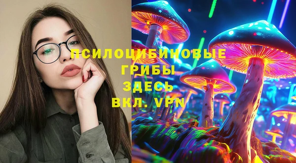 apvp Коряжма