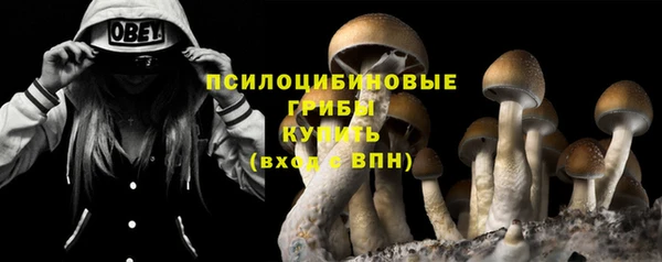гидра Костерёво