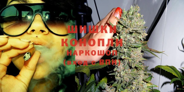 гидра Костерёво