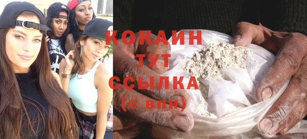 гидра Костерёво