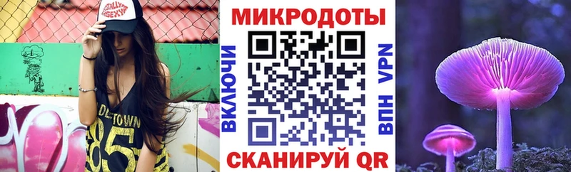 где найти наркотики  Шилка  гидра ссылка  Псилоцибиновые грибы мухоморы 